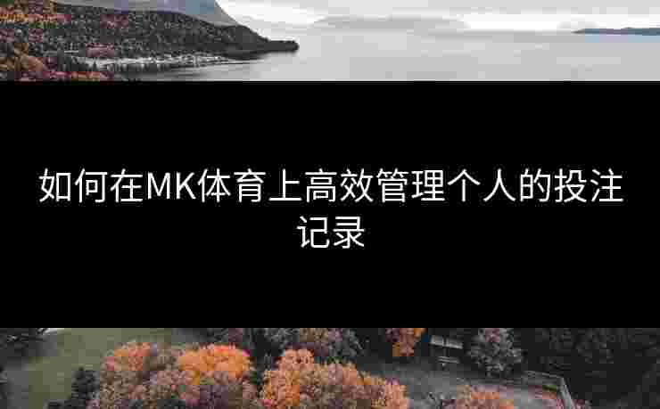如何在MK体育上高效管理个人的投注记录